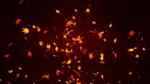 Autumn Leaves Falling on Red Background, Maple Leaf, Loop Glitter Animation,