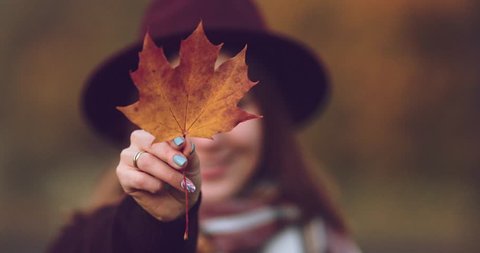 Young Woman Showing Colourful Autumn Leaf to the Camera. SLOW MOTION 4K. Unrecognizable millennial girl holding orange and yellow maple leaf in front of her. Cinematic fall shot.