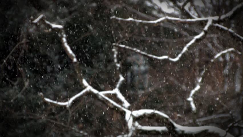 Snowfall gently falls in the countryside.  Camera rack-focuses from the distance