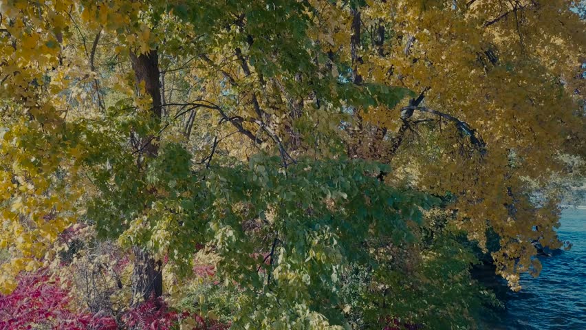 Autumn on the Mississippi - Minneapolis - Aerial Footage