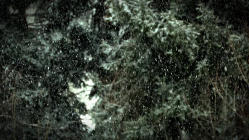 Snowfall gently falls in the countryside.  Camera rack-focuses from the distance