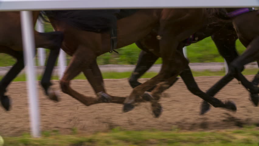 Race Horses moving in synchronicity in slow motion.