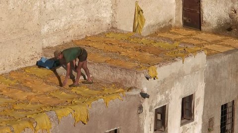 FES, MOROCCO - CIRCA 2007: Man Laying Skins at Moroccan Tannery