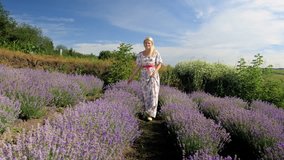 4k video of beautiful young woman walking in lavender field at sunny morning