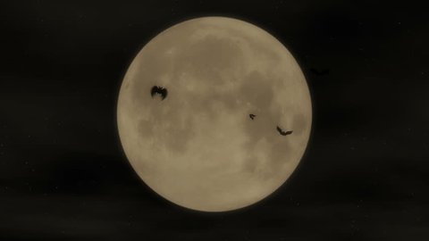 Bat Attack - Halloween Party Video Background Loop  ///  Bats attacking in front of a full moon. A perfectly looping Halloween visual - great for clubs and parties.