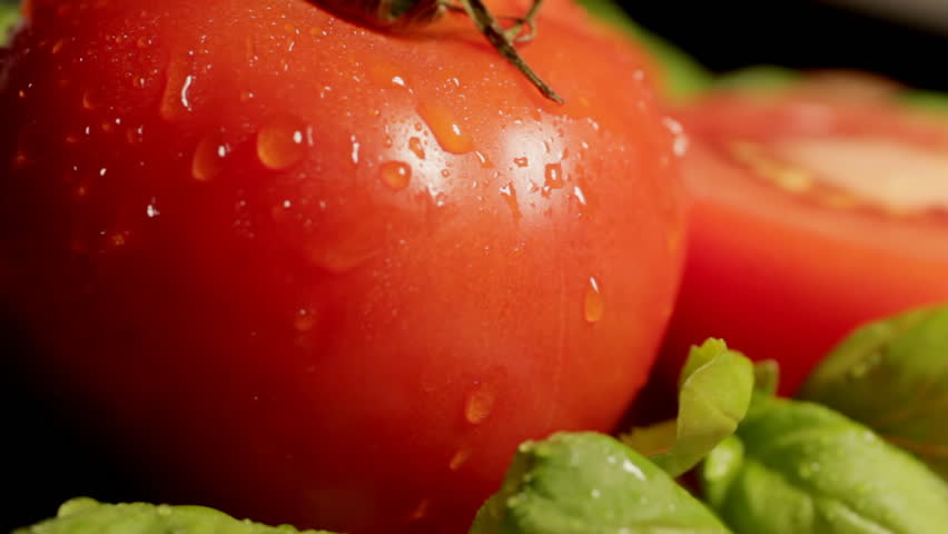 Tomatoes and Basil close up