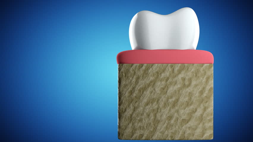 Rendering of an anatomic tooth section. You can replace background and text (alpha channel)