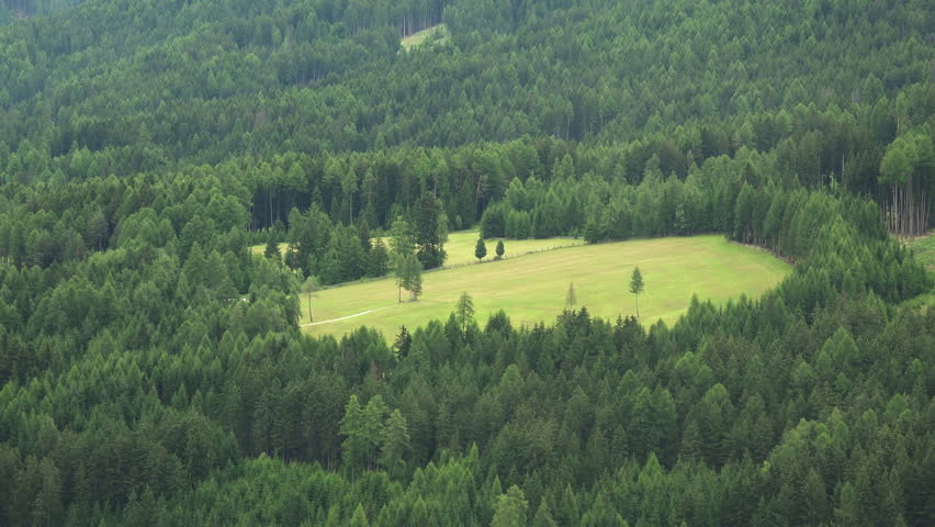 Beautiful Aerial Scene of an empty meadow in the Alpen Forest. 4K Ultra HD 