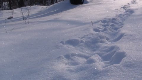 Panning shot of footstep trail in snow in winter park