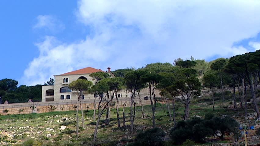 View of an umbrella pine grove growing on a hill in Deir El Qamar, in the Chouf district of Mount Lebanon.