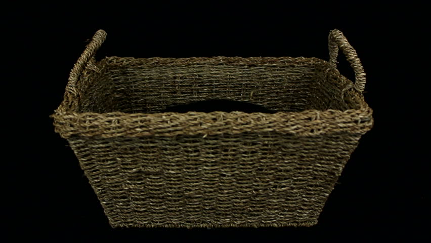 Woman petting black cat in a basket, on black background
