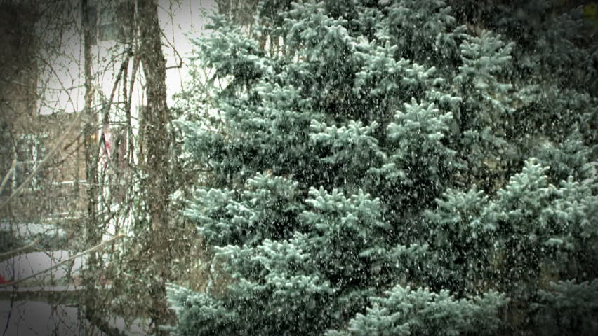 Snowfall gently falls in the countryside.  Camera rack-focuses from the distance