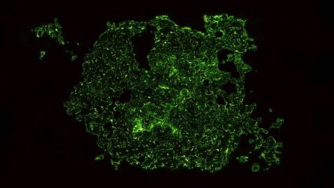 Microscopic virus. Digital illustration. 3d rendering Seamless loop