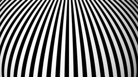 Animated background with white and black lines. Seamless loop