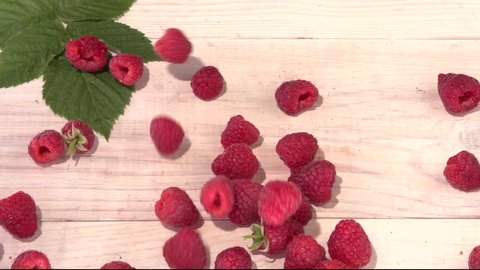 Raspberry. Raspberries falls and rolls on the white table. Slow motion 240 fps. Slowmo. High speed camera shot. Full HD 1080p. 