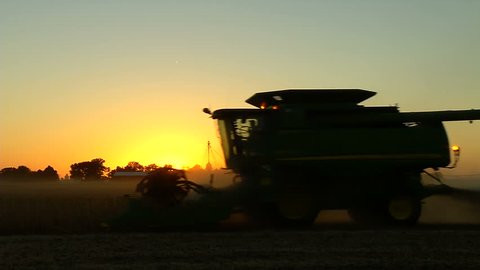 Harvesting Soybeans at sunset. silhouette  Video Stok