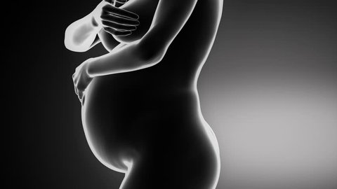 Pregnant woman with baby 3D animation time lapse