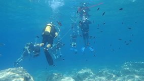 Underwater footage of students learning to Scuba Dive