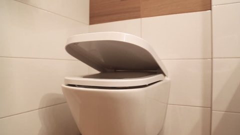 Hanging toilet with soft closing toilet seat lid hinge.