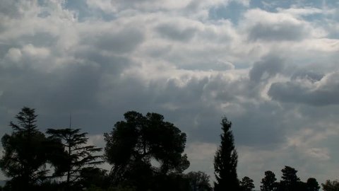 Dramatic time-lapse of clouds over treetops 