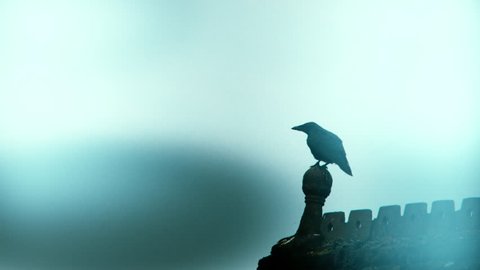 Stylized spooky shot of an old crow taking flight in slow motion off an old chapels roof