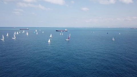Aerial view - top down 4k footage of sailboats fleet sailing at sea