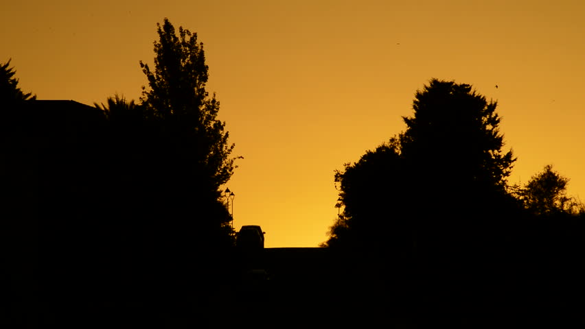 Cars coming down the hill with the sun hiding between houses and trees at sunset