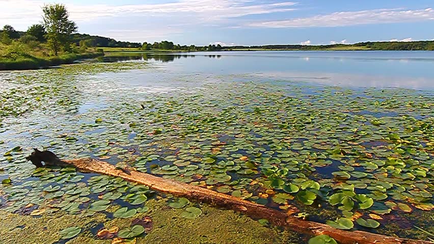 View of beautiful Shabbona Lake State Park in northern Illinois