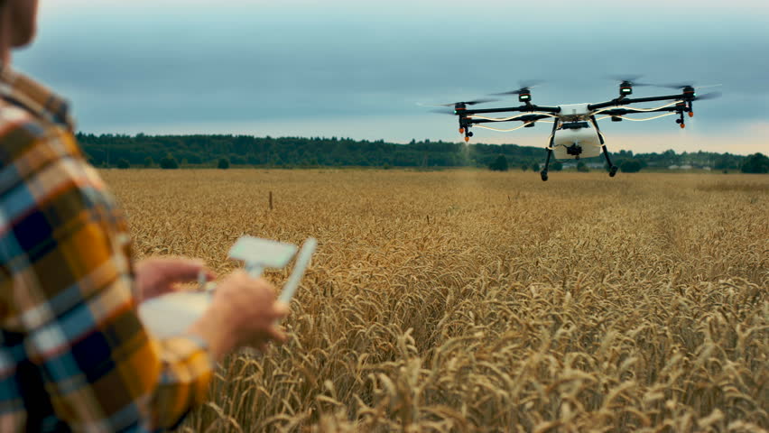 Smart farmer use drone for spray pesticide field. Shot in Red Epic Dragon | Shutterstock HD Video #32035444