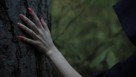 close up shot of hand with long fingernails, a woman in a black cloak touches the bark of a tree in the evening