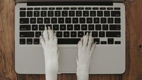 Funny and silly playful video of dog paws typing and pressing buttons on laptop keyboard nervously and rapidly. concept joke or freelance work in office, pet life and routine workplace