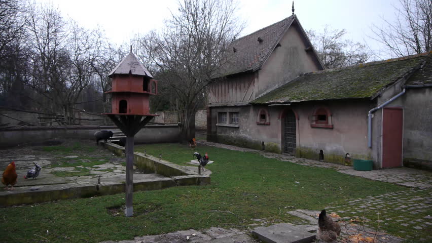 Old farm with a bird house and surrounding chickens in France.