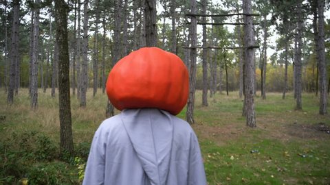 Halloween pumpkin head entity in the autumn forest