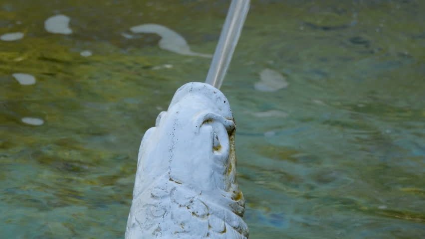 fish statuette in fountain