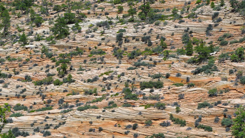 Landscape in Zion National Park, Utah, Usa, North America, America