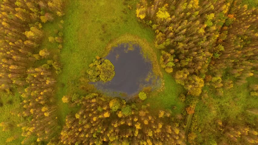Aerial view of lake in forest in autumn