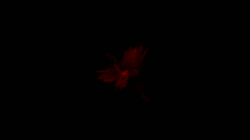 splash blood & red dyestuff ink.