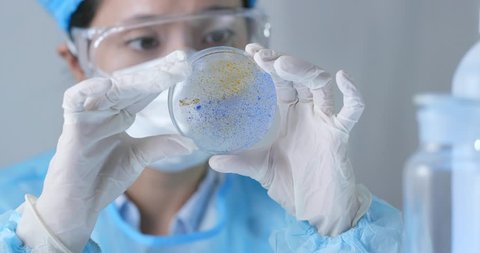 Chemical research scientist working in the lab
