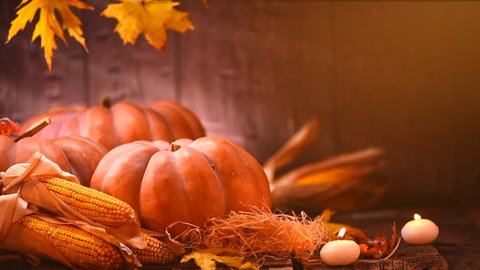 Thanksgiving Day. Pumpkin, Squash. Happy Thanksgiving Day wooden Table Background decorated with pumpkins, corn comb, candles and autumn leaves garland. Holiday Autumn festival scene, Fall, Harvest 4K