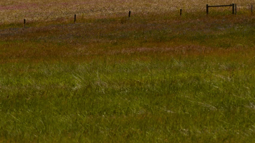 Power lines stretching off into the distance in a rural setting.
