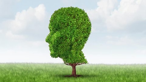 Alzheimer Memory loss video and brain aging due to dementia and alzheimer's disease as a medical icon of a group of  autumn fall trees shaped as a human head losing leaves on a white background.