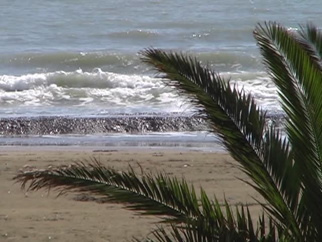 palm beach
