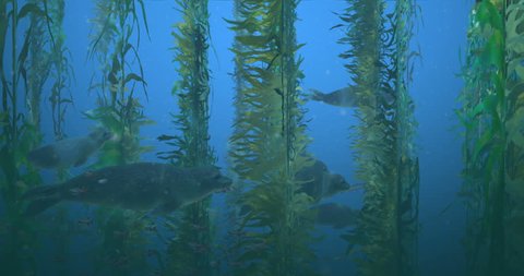 Animation featuring a pod of seals swimming among the kelp in the ocean, with a school of small fish in the foreground, and barracuda in the background.