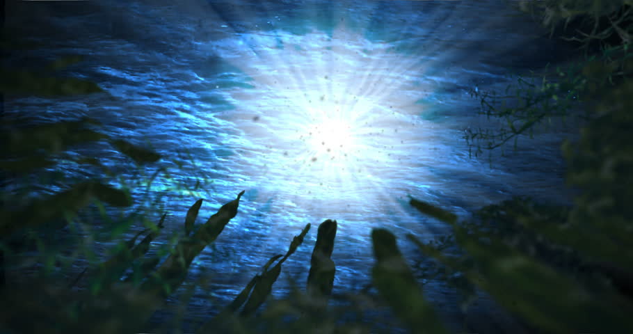 Animation featuring a school of sharks swimming in the ocean, looking up at the water surface from among the plants below.