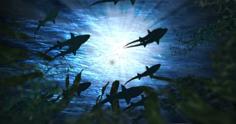 Animation featuring a school of sharks swimming in the ocean, looking up at the water surface from among the plants below.