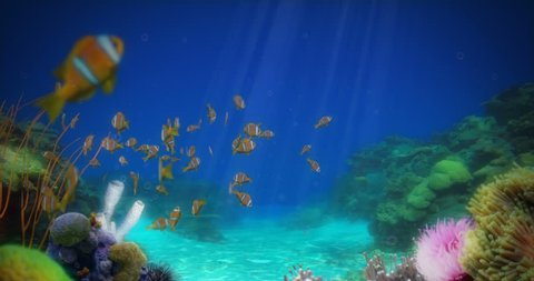 A school of fish (clownfish) swimming in a coral reef, with two humpback whales in the background.