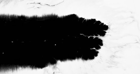 Beautiful black ink running, bleeding and absorbing into white background. Amazing detail and can be used as luma matte, double exposure or transitions