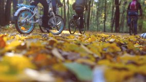 Blurred view of autumn park with group of unrecognizable people riding bicycle. Healthy lifestyle concept. Sport. Biking in autumn park, low angle view, blur focus. 4K UHD video slow motion