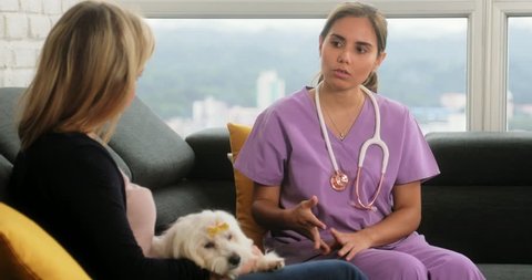 Young hispanic woman working as veterinary, vet talking to dog owner during house call. Animal doctor visiting sick pet at home. Dolly shot