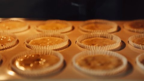 Cupcake. Baking in oven. Time lapse footage of cooking muffins. 4k, UHD